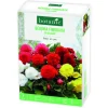 Boite de bulbes de fleurs Bégonia Fimbriata en mélange botanic® – 8 bulbes