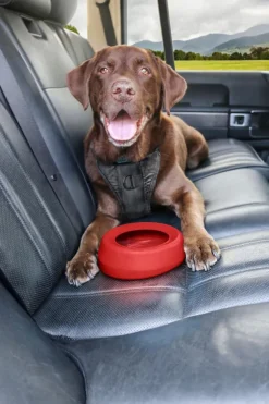 Bol anti-débordement pour chien coloris rouge Kurgo Splash - 22,8 x 18 x 7,6 cm