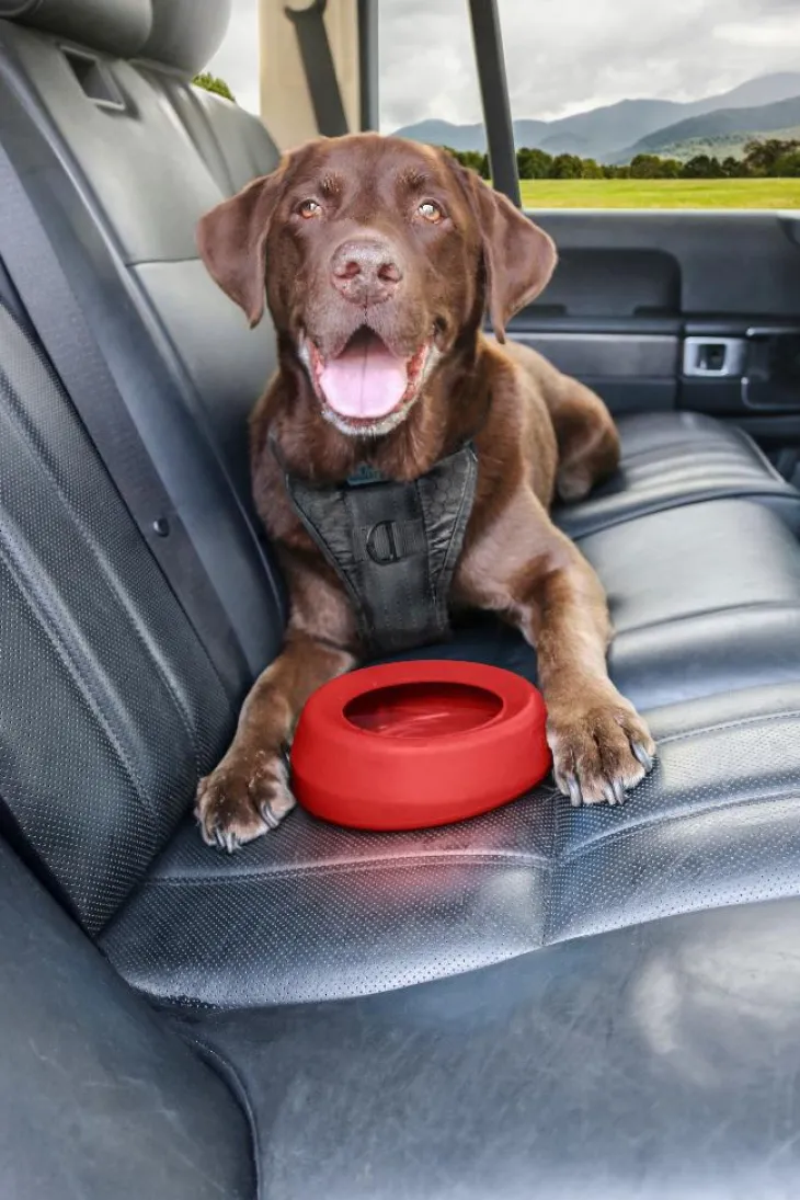 Bol anti-débordement pour chien coloris rouge Kurgo Splash - 22,8 x 18 x 7,6 cm