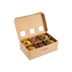 Boîte de 6 pommes de pin à suspendre en papier multicolore - 5 cm