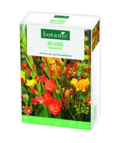 Boîte de bulbes de fleurs en mélange balcon et terrasse biodiversité botanic® – 32 bulbes