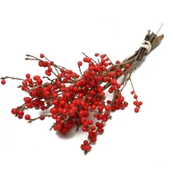 Botte de houx d’ilex Verticilta coloris rouge – 5 tiges