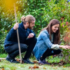 Bottillons Blackfox Oregon Aubergine