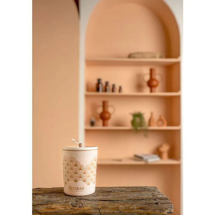 Bougie déco parfumée et rechargeable Iris cachemire Esteban - 180g