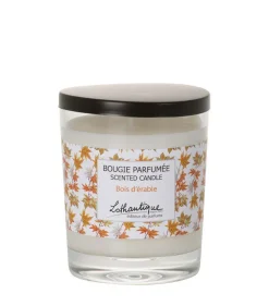 Bougie parfumée Bois d’Érable Senteur et Lumière - 160 g