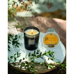 Bougie parfumée rechargeable Initiale Ambre Esteban - 180 g