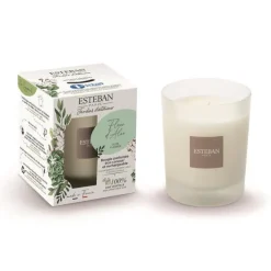 Bougie parfumée rechargeable Fleur d'aloe Esteban - 180 g