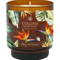 Bougie parfumée senteur Fleur de Paradis Collines de Provence – 220 g