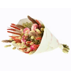 Bouquet de fleurs séchées Dandy coloris rose et orange - H 50 cm