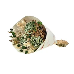 Bouquet de fleurs séchées Sola M coloris vert - H 50 cm