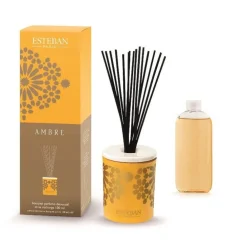 Bouquet parfumé déco et sa recharge Ambre Esteban - 100 ml