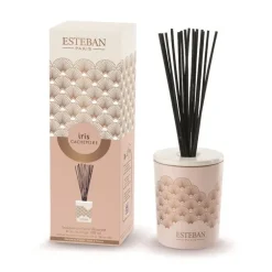 Bouquet parfumé déco et sa recharge Iris cachemire Esteban - 100 ml