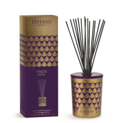 Bouquet parfumé déco et sa recharge Figue noire Esteban - 100 ml