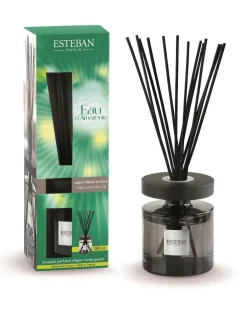 Bouquet parfumé et recharge Esteban Ellipse vert parfum Eau d’Amazonie - 200 ml