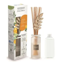 Bouquet parfumé et sa recharge Ambre et Baumes Esteban - 100 ml