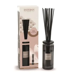 Bouquet parfumé initial + recharge senteur iris cachemire Esteban - 100 ml