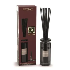 Bouquet parfumé initial + recharge senteur teck et tonka Esteban - 100 ml