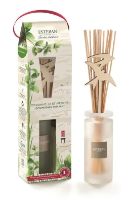 Bouquet parfumé initial avec recharge Citronnelle et menthe Esteban - 100 ml