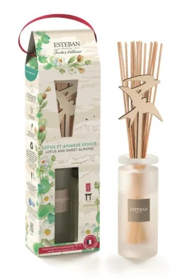 Bouquet parfumé initial avec recharge Lotus et amande douce Esteban - 100 ml