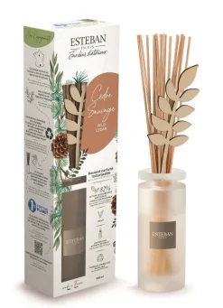 Bouquet parfumé initial avec recharge Cèdre sauvage Esteban - 100 ml
