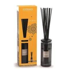 Bouquet parfumé initial Esteban avec recharge ambre - 100 ml