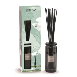 Bouquet parfumé Initial et sa recharge Pur Lin Esteban - 100 ml