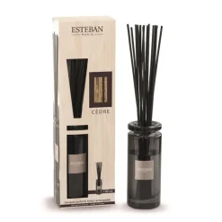 Bouquet parfumé Initial et sa recharge Cèdre Esteban - 100 ml