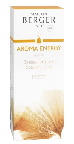 Bouquet parfumé Maison Berger Aroma parfum Energy - 100 ml