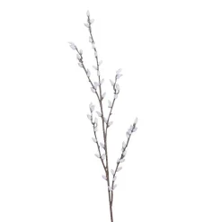 Branche artificielle de chaton de saule coloris blanc - 89 cm