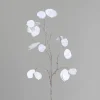 Branche de lunaire blanche - 84 cm