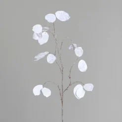 Branche de lunaire blanche - 84 cm