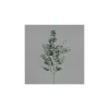 Branche d’Eucalyptus verte artificielle - 68 cm