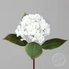 Branche d’Hortensia crème artificielle - 52 cm