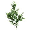 Branche eucalyptus artificiel H70 cm