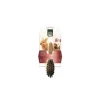 Brosse simple en bois pour rongeurs 18x6 cm