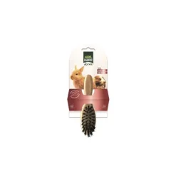 Brosse simple en bois pour rongeurs 18x6 cm