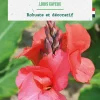 Bulbe de fleurs Canna Louis Cayeux botanic® - 1 bulbe