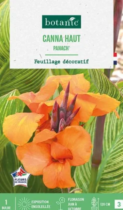 Bulbe de fleurs Canna Panach botanic® - 1 bulbe