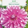 Bulbe de fleurs Dalhia cactus Ballade botanic® - 1 bulbe