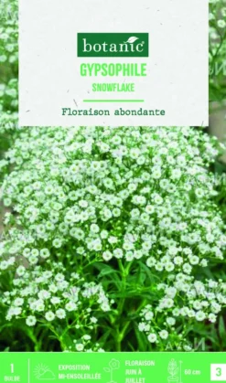 Bulbe de fleurs Gypsophile snowflake botanic® - 1 bulbe