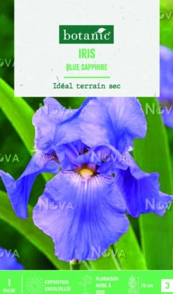 Bulbe de fleurs Iris Germanica Blue Sapphire botanic® - 1 bulbe