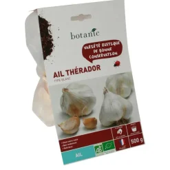 Bulbes d’ail blanc Therador AB bio 55+