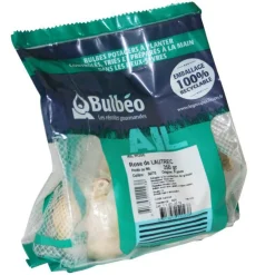 Bulbes d’ail rose Lautrec 250 g calibre 50/70
