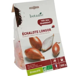 Bulbes d’échalote longue Longor AB bio calibre 15/40, 500 g