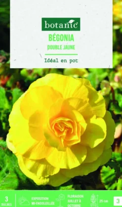 Bulbes de fleurs Bégonia double jaune botanic® - 3 bulbes