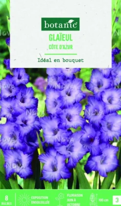Bulbes de fleurs Glaïeul grandes fleurs côte d’Azur botanic® - 8 bulbes