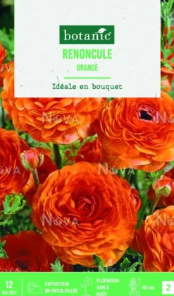 Bulbes de fleurs Renoncule asiatique orange botanic® – 12 bulbes