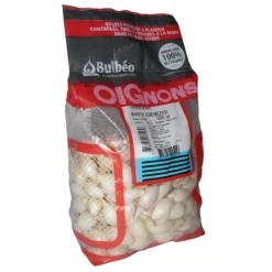 Bulbes d’oignons blanc White Ebenezer calibre 14/21, 500 g