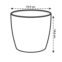 Cache pot Brussel Orchidees