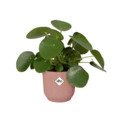 Cache pot rose poudré Elho Vibes fold mini - Ø 11 cm